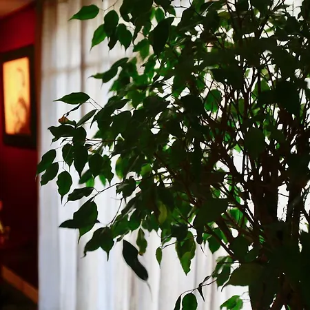 Le Talisman 4* Saint-Germain-en-Laye