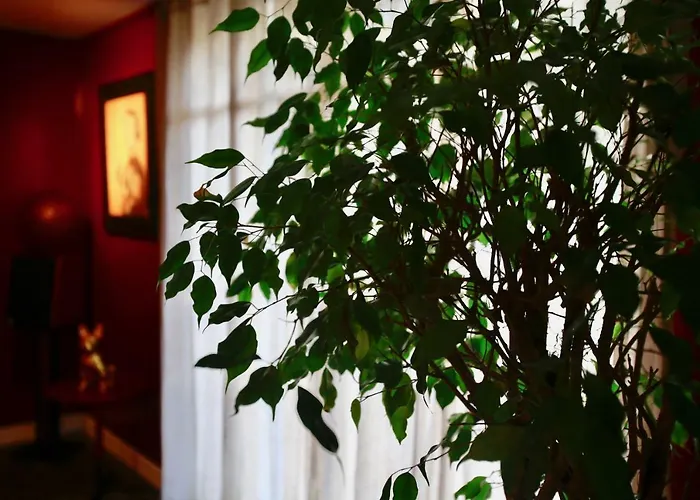 Le Talisman 4* サン＝ジェルマン＝アン＝レー